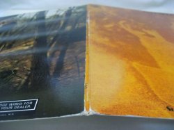 画像10: TIM HARDIN / Suite For Susan Moore And Damion