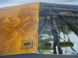 画像9: TIM HARDIN / Suite For Susan Moore And Damion