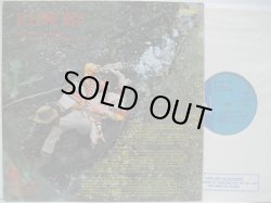 画像2: P.J. PROBY / Three Week Hero