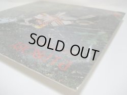 画像8: P.J. PROBY / Three Week Hero