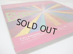 画像9: HOLLIES / Evolution