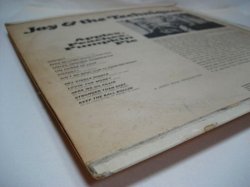 画像9: JAY & THE TECHNIQUES / Apples, Peaches, Pumpkin Pie