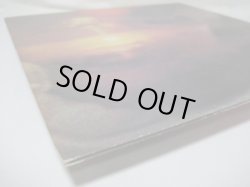 画像6: DAVID CROSBY / If I Could Only Remember My Name