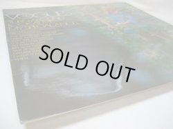 画像7: VOGUES / Turn Around, Look At Me