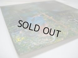 画像5: VOGUES / Turn Around, Look At Me