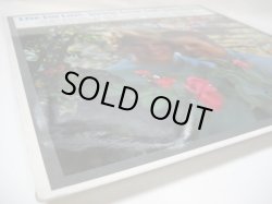 画像6: JACKIE TRENT & TONY HATCH / Live For Love