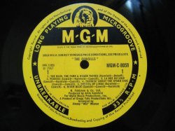 画像3: COWSILLS / The Cowsills