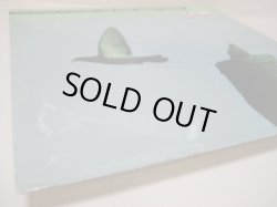 画像6: LENNY HAMBRO QUINTET / The Nature Of Things