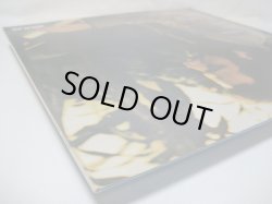 画像7: BARRY MANN / Survivor