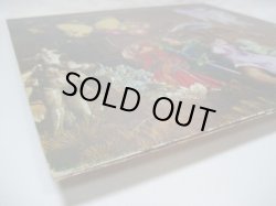 画像8: DULCIMER / And I Turned As I Had Turned As A Boy