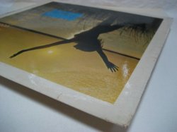 画像6: SOUNDS ORCHESTRAL / Cast Your Fate To The Wind