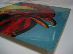 画像5: AMBERGRIS / Ambergris