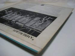 画像8: AMBERGRIS / Ambergris