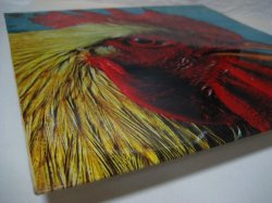 画像6: AMBERGRIS / Ambergris