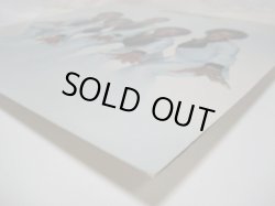 画像5: ENCHANTMENT / Once Upon A Dream