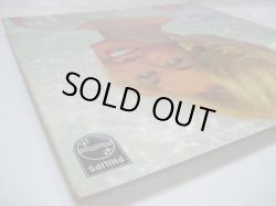 画像5: DORIS DAY / Bright & Shiny