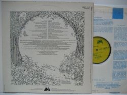 画像2: WHITE DUCK / White Duck