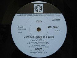 画像3: DONOVAN / A Gift From A Flower To A Garden