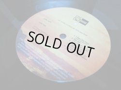 画像4: SONLIGHT / Sonlight