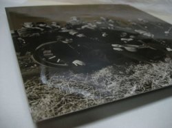 画像9: SPANKY & OUR GANG / Like To Get To Know You