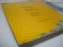 画像9: TANGERINE PEEL / Soft Delights