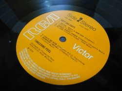 画像4: TANGERINE PEEL / Soft Delights