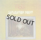 DARRYL WAY'S WOLF / Saturation Point