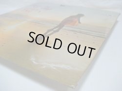 画像5: LENNY DEE / Gentle On My Mind