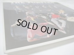 画像6: TURTLES / Happy Together