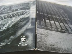 画像11: NEIL YOUNG / After The Gold Rush