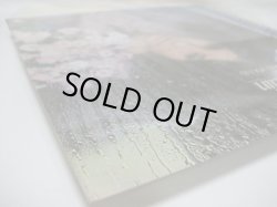 画像5: DAMIAN ROBINSON & THE RICHMOND SOUND / September In The Rain