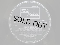 画像3: MARVIN GAYE / What's Going On