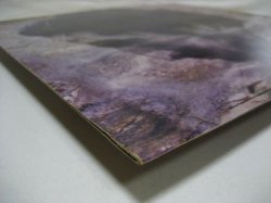 画像8: BOB DYLAN / Dylan