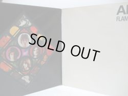 画像3: FLAMING YOUTH / Ark 2