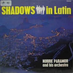 画像1: NORRIE PARAMOR & HIS PRCHESTRA / Shadows In Latin