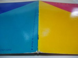 画像8: JAMES TAYLOR / Flag