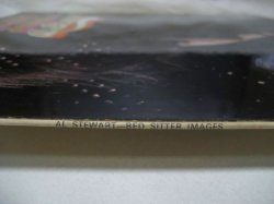 画像10: AL STEWART / Bedsitter Images