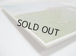 画像7: CURTIS MAYFIELD / Roots