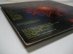 画像10: BETTY WRIGHT / I Love The Way You Love