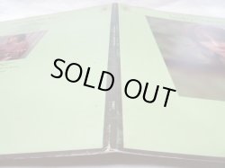 画像9: LESLEY DUNCAN / Earth Mother