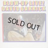 DAVID GARRICK / Blow Up Live