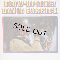 画像1: DAVID GARRICK / Blow Up Live