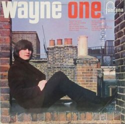 画像1: WAYNE FONTANA / Wayne One