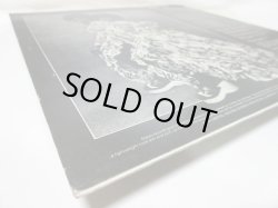 画像9: BETTY WRIGHT / Danger High Voltage