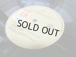 画像4: CLAUDINE LONGET / Colours