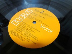 画像4: JACK JONES / If You Ever Leave Me