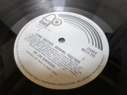 画像4: 5TH DIMENSION / Living Together, Growing Together