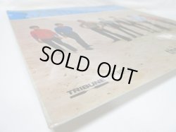 画像6: SANDS / Sand Doin's