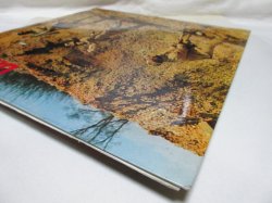 画像8: FOUNDATIONS / Digging The Foundations