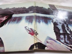 画像9: KNOCKER JUNGLE / Knocker Jungle